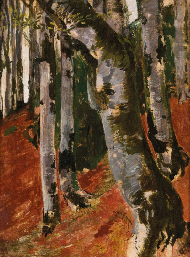 Troncs d'arbres dans la forêt