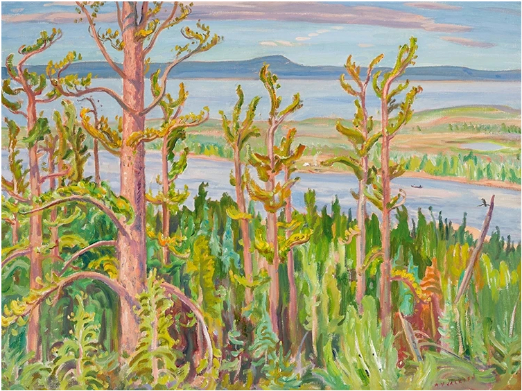 Jack Pine, 1950