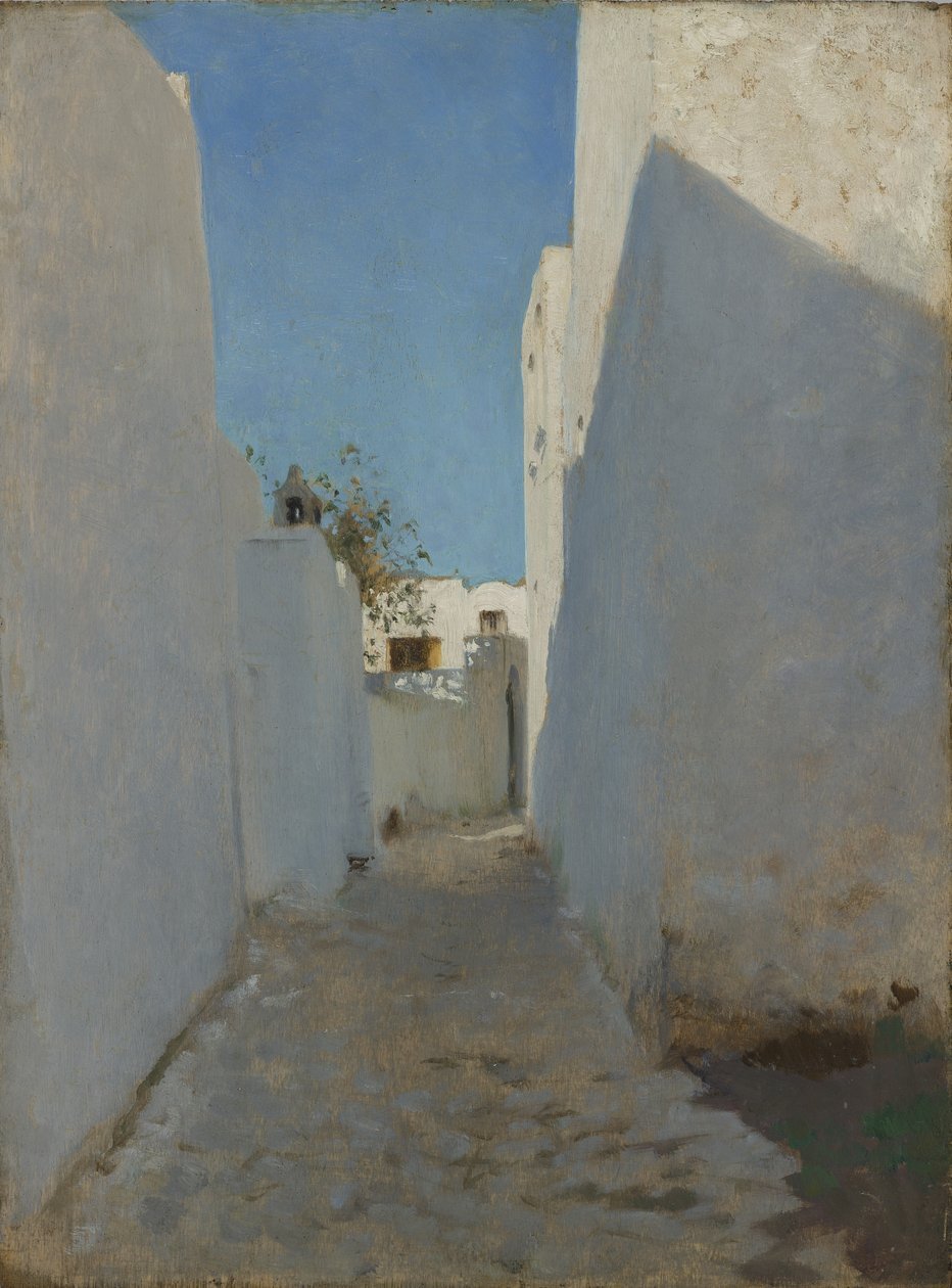 Scène de rue marocaine, 1879-1880