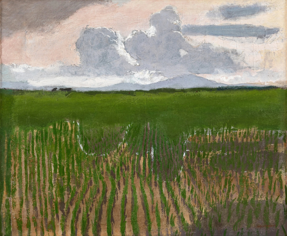 Paysage de rizières