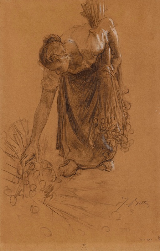 Paysanne ramassant une gerbe d’œillettes (1895-1896)