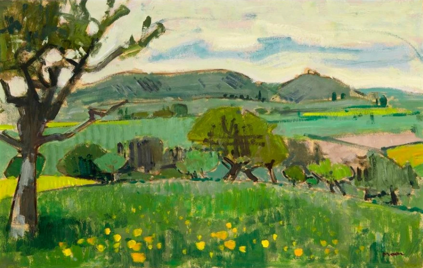 Paysage d'été de Bâle-Campagne