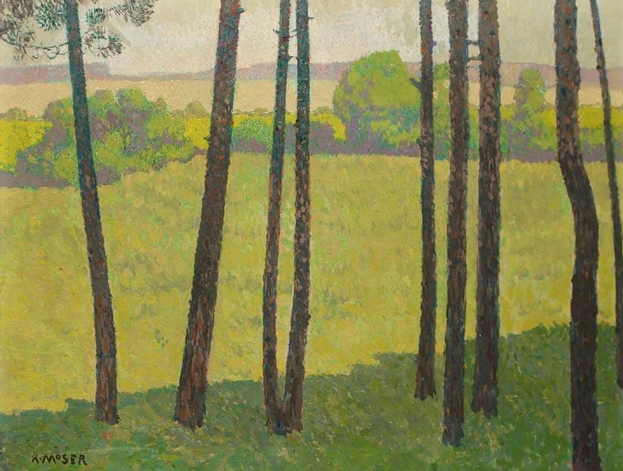 Un paysage boisé