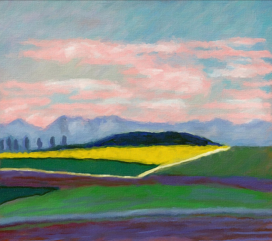 Champ de colza sous un ciel rose - réf. CS22525DP