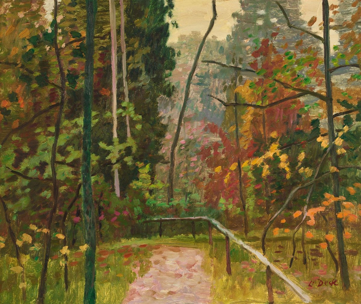 Partie de forêt dans la région d'Elfenau