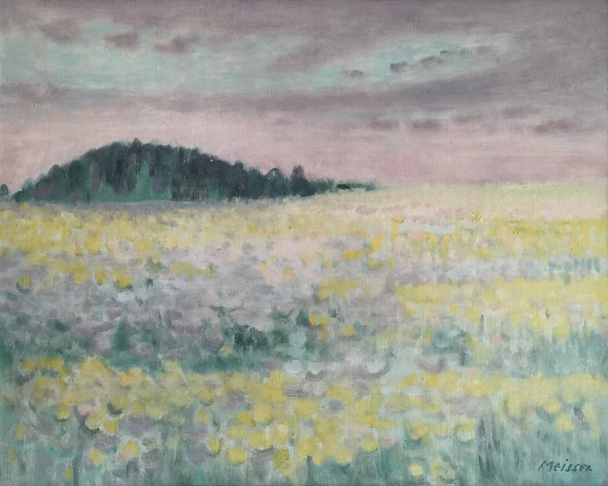 Prairie de printemps