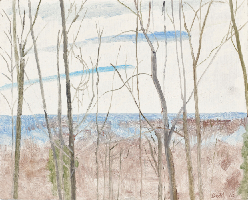 Paysage d'hiver depuis la Maison Blanche, Flatbrookville, 1976