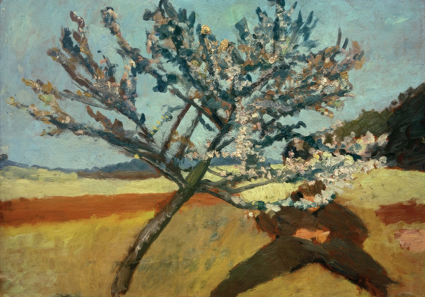 Homme allongé sous un arbre en fleurs, 1903 