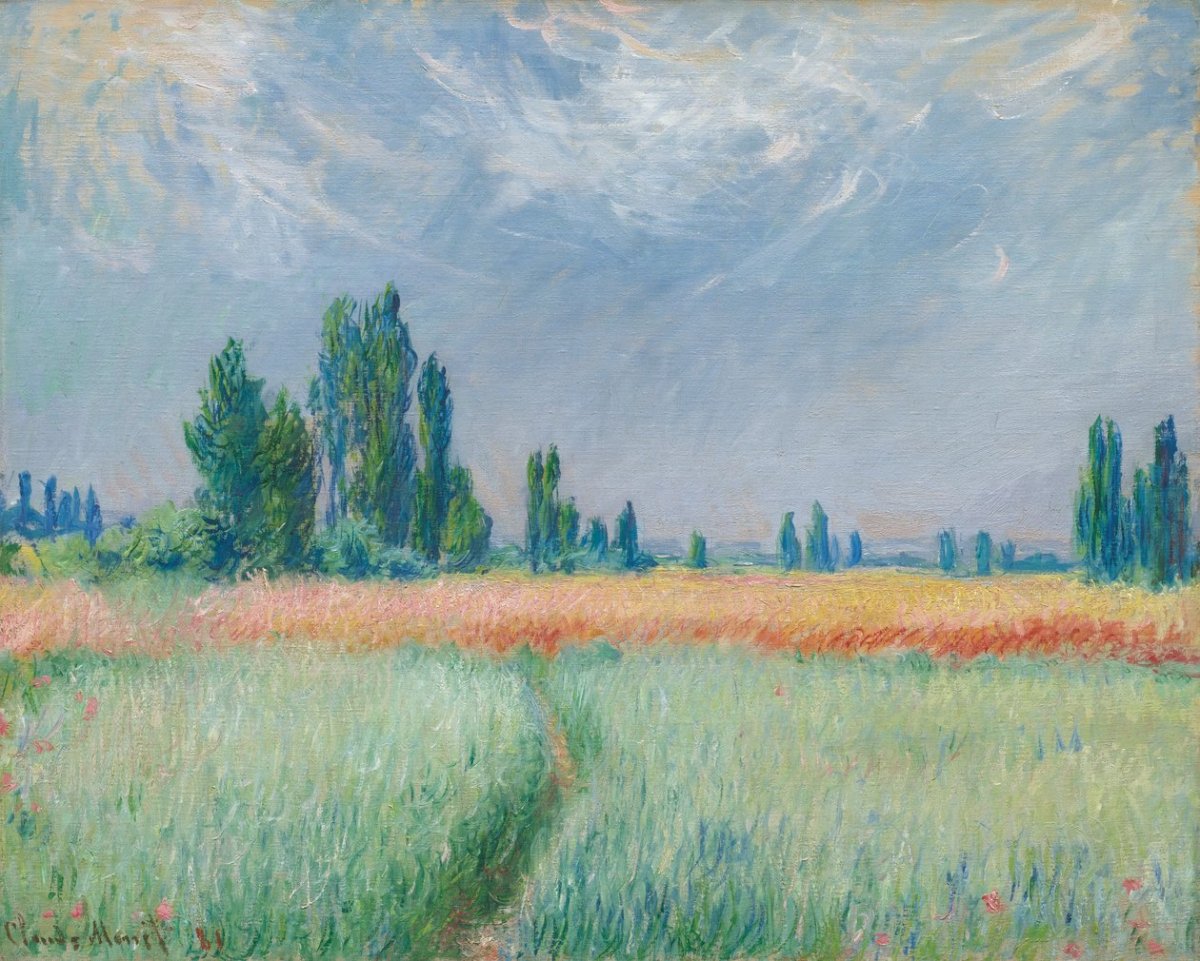 Champ de blé, 1881