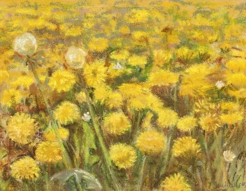  Pissenlit dans la prairie, 1931