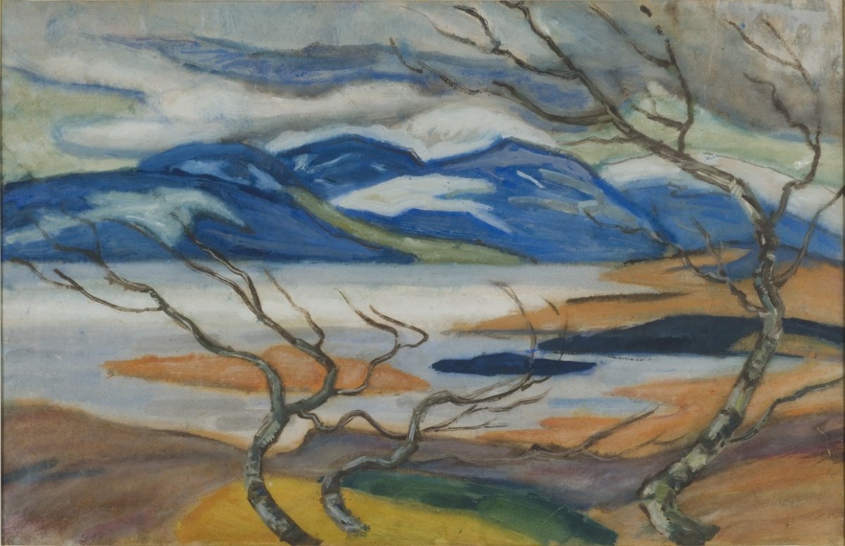 Le marais de Torne au printemps