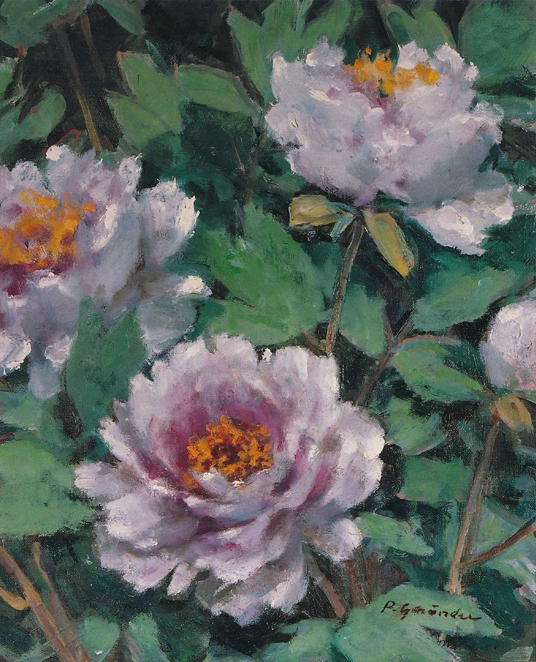 Pivoines, 1965