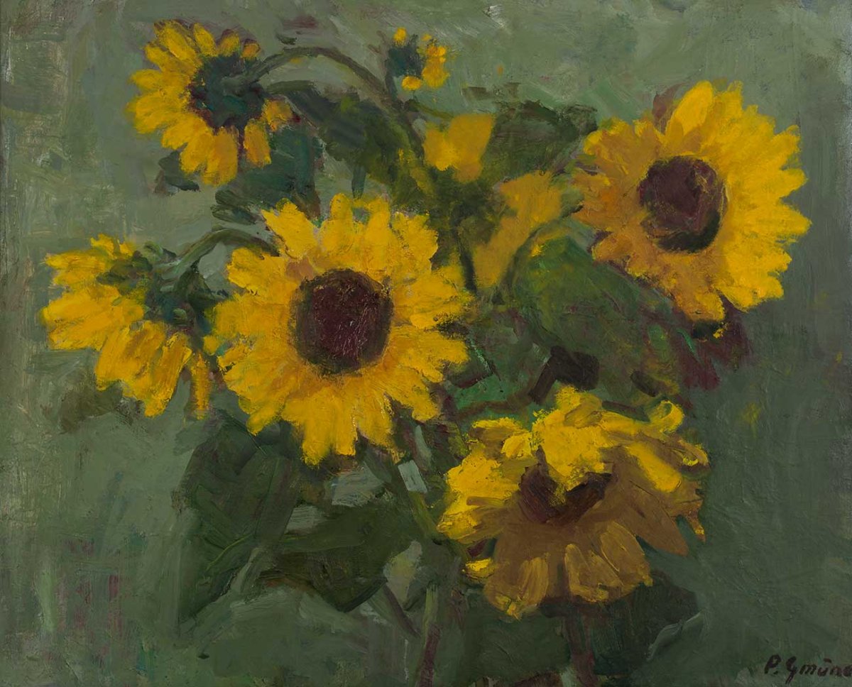 Tournesol dans le jardin, 1980