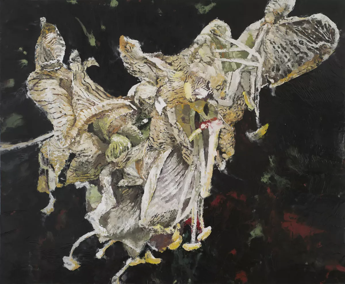 Amaryllis blanche 1, 2019