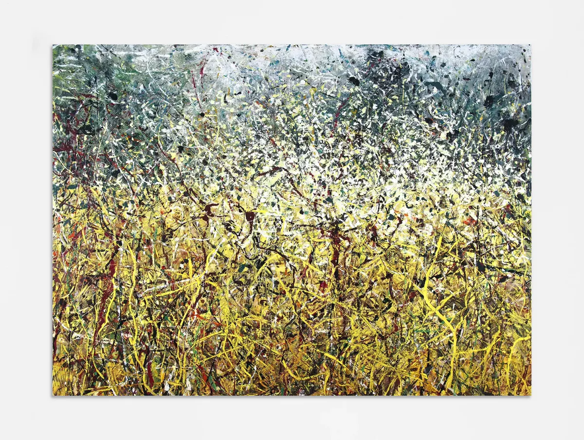 Sous le soleil, aubépine sur colza, 2022