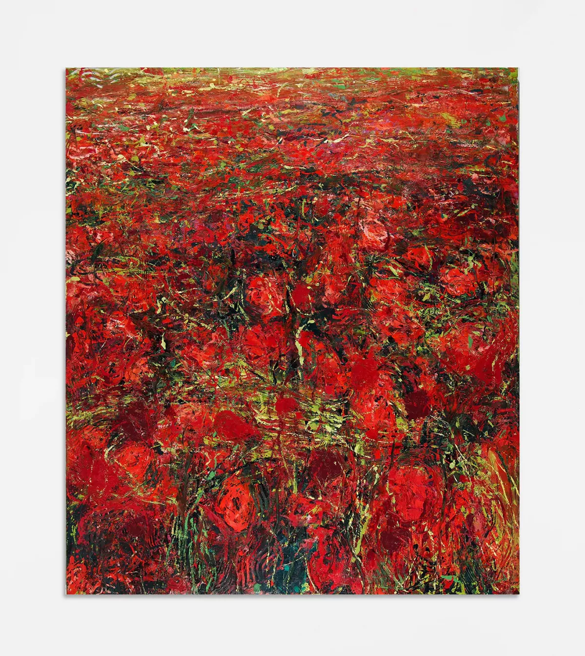 Sous le soleil, coquelicots n°1, 2022