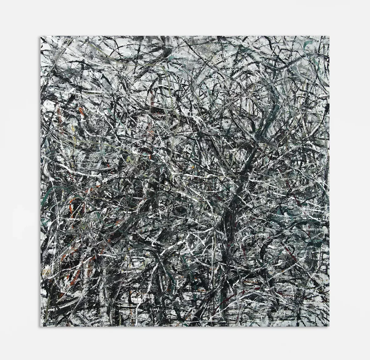 Sous le soleil, épineux en hiver n°1, 2022