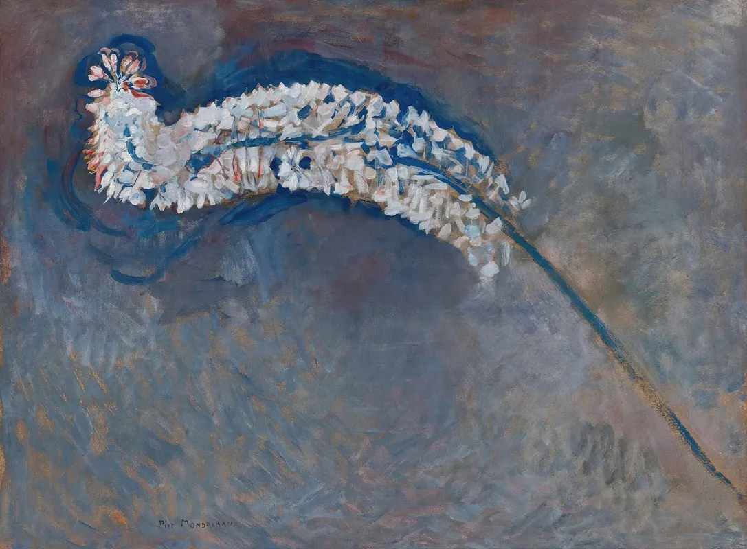 Lys à feuilles de sétaire