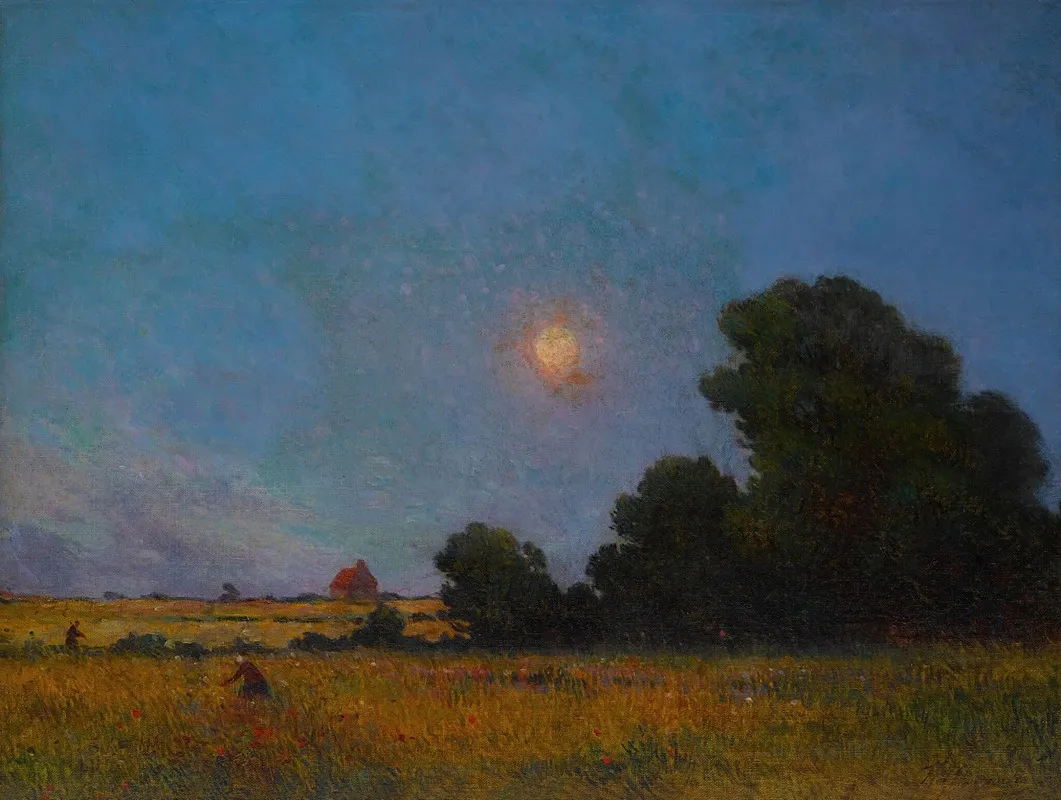 Champs fleuris à l’aube