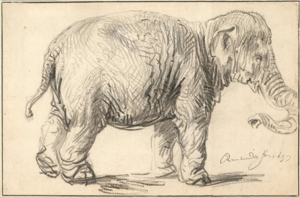 Un éléphant, 1637