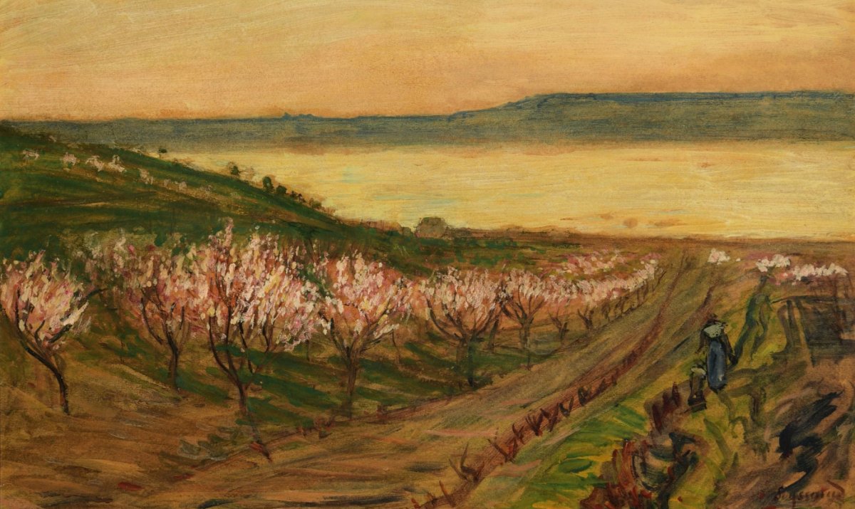 Pêchers en fleurs au bord de l’étang de Berre