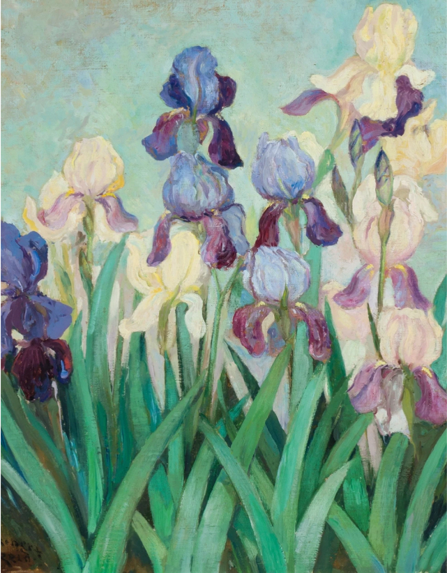 Iris