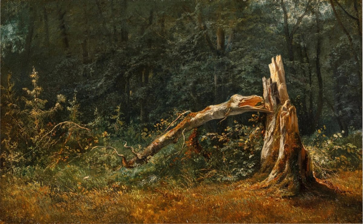 Paysage avec un tronc