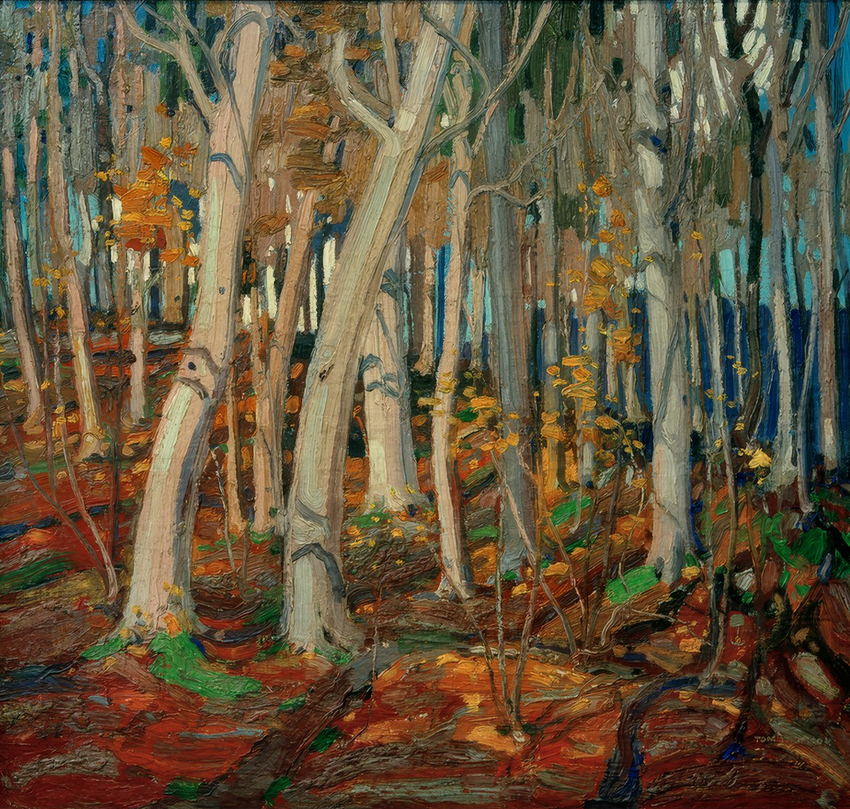 Bois d'érable, troncs nus, 1916