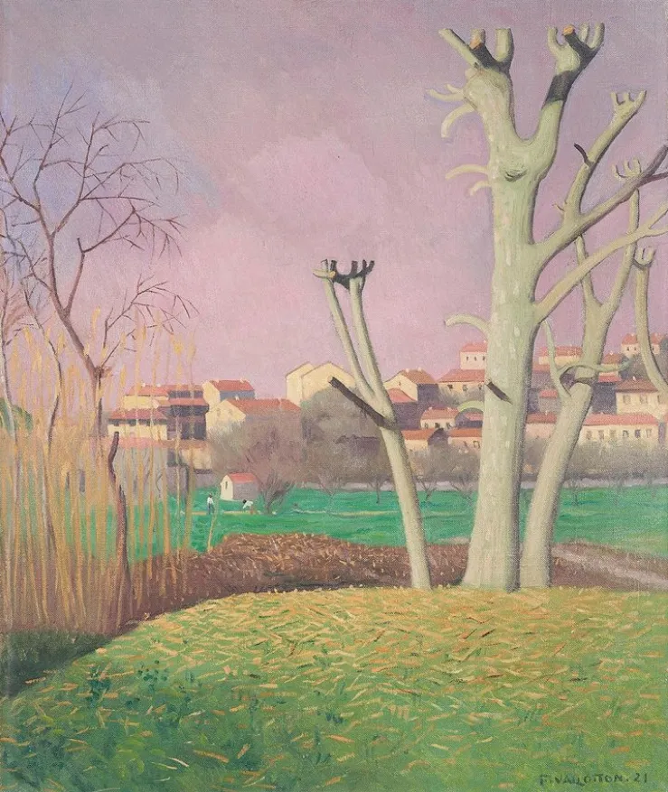 Platanes et branches à Cagnes, 1921
