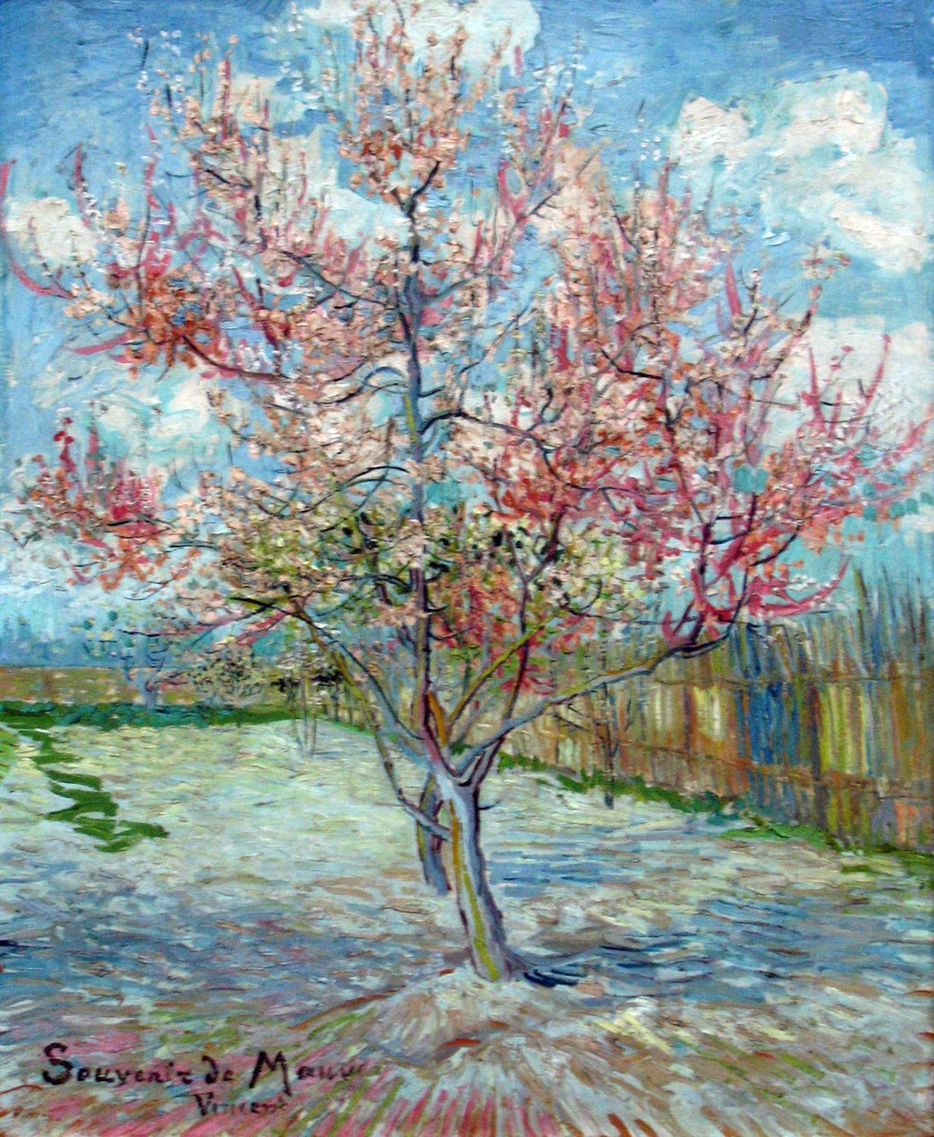 Pêchers roses, 1888