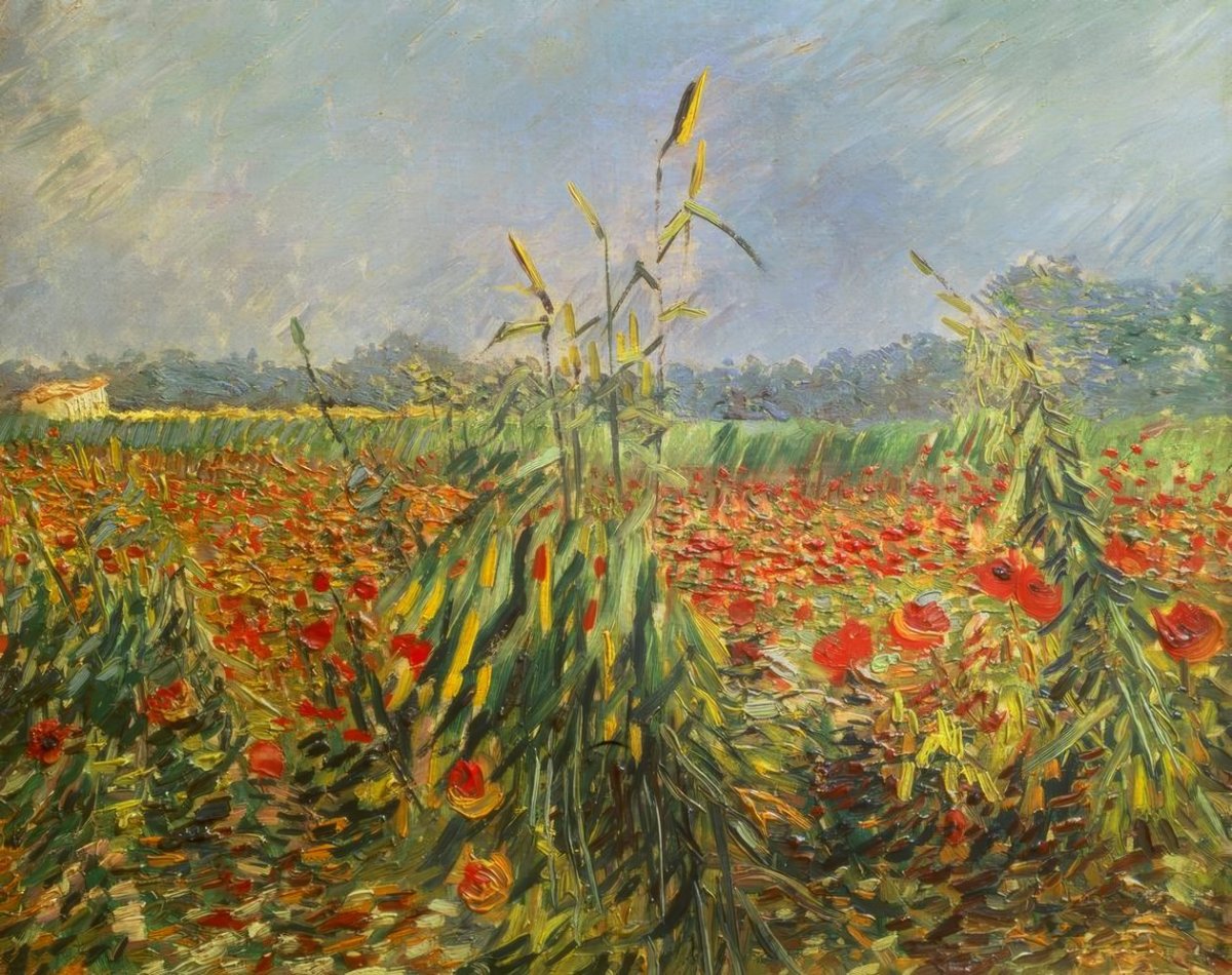 Tiges de maïs vertes, 1888