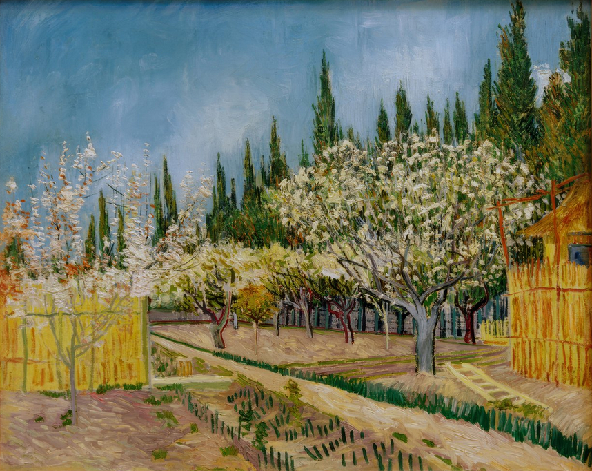 Verger en fleurs, entouré de cyprès, 1888