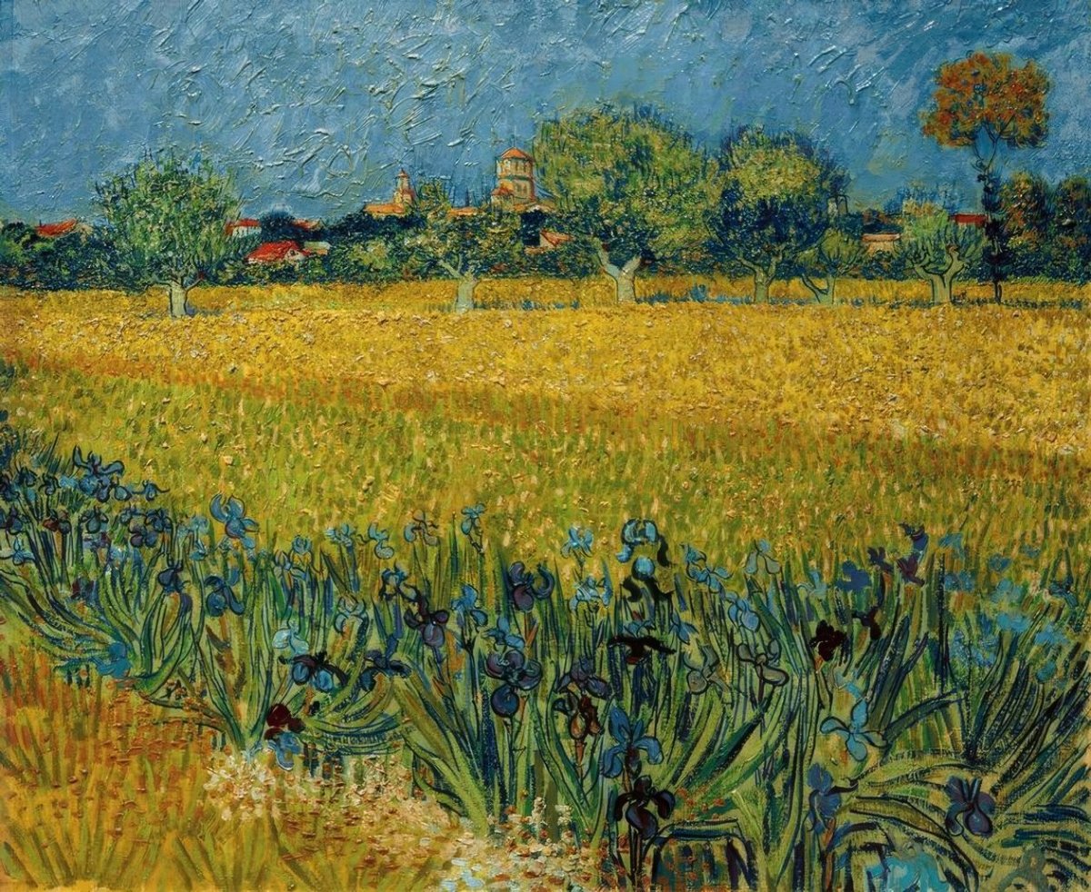 Vue sur Arles avec des fleurs d'iris au premier plan, 1888