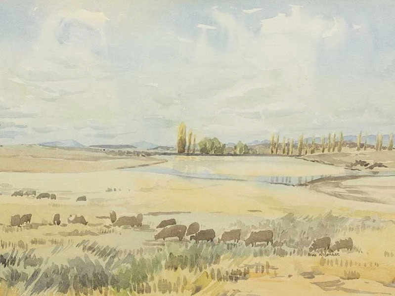 Paysage avec moutons