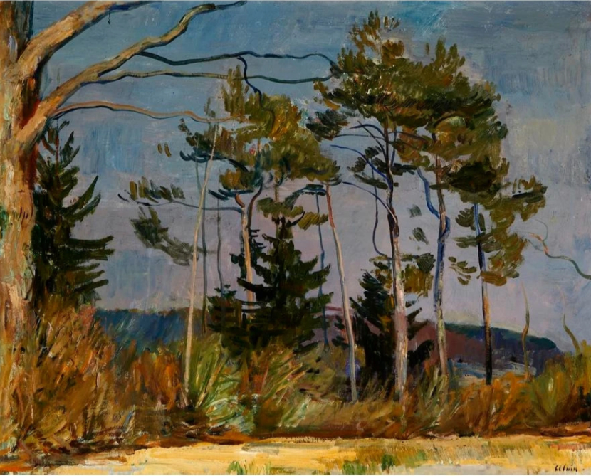 Paysage d'été