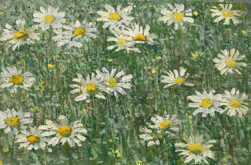 Champ de marguerites