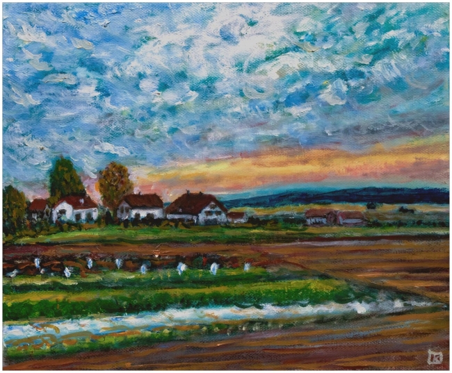 Lever du soleil sur le Seeland -  réf. CS4622 