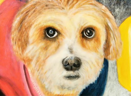 Portrait d&#039;une petite chienne bolivienne prénommée Nena - Réf. CS1820
