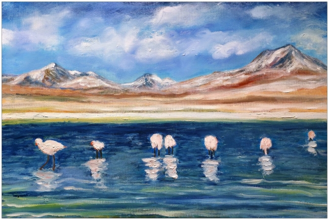 Flamingos en Sur Lipez - Bolivia - Réf. CS1720