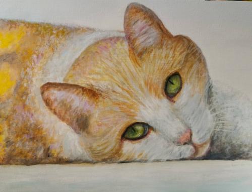 Portrait de chat - Réf. CS1620
