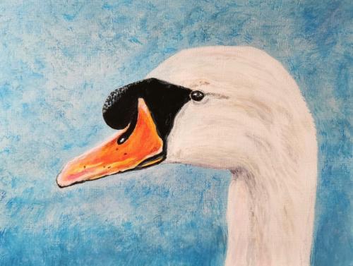 Comme un cygne - Réf. CS1520