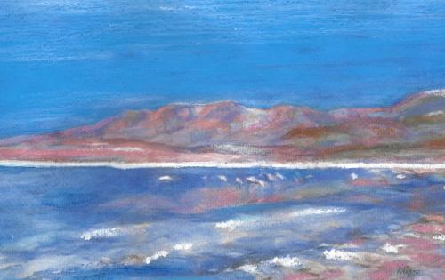Lagune avec flamands - Réf. CS0820