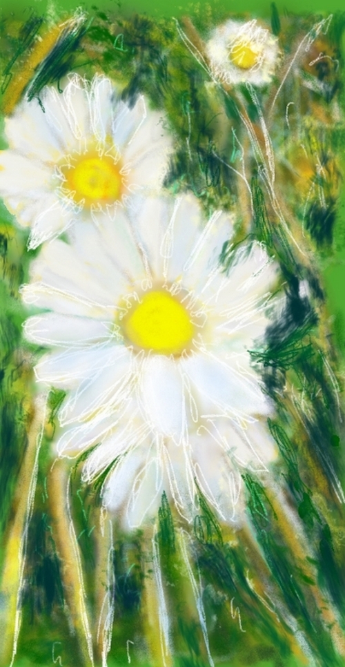 Fleurs des champs - réf. CS2925DP
