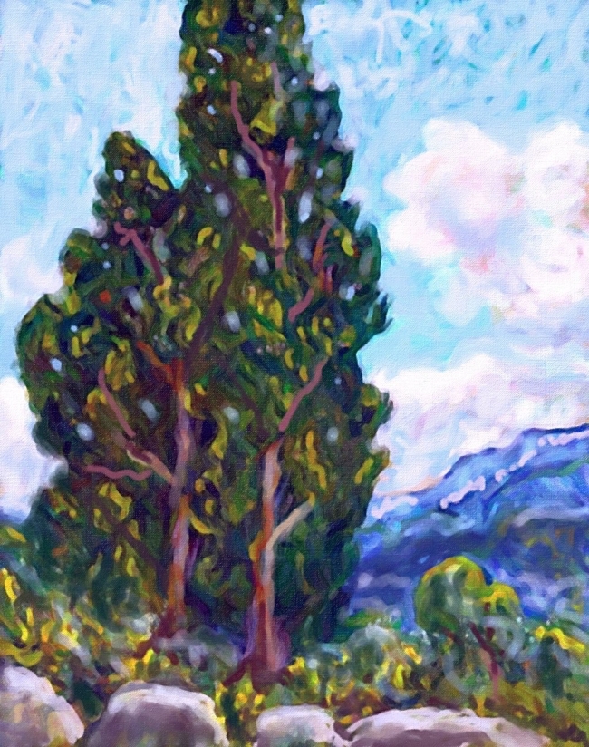 Paysage de montagne - réf. CS11625DP