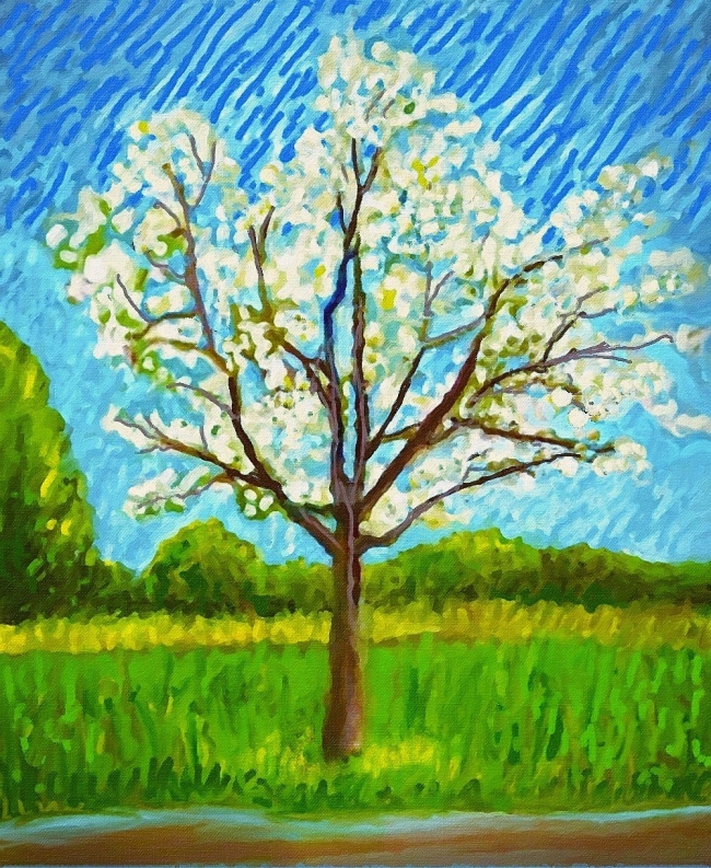 Arbre en fleurs - réf. CSCS2826DP